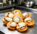 Royal Abalone